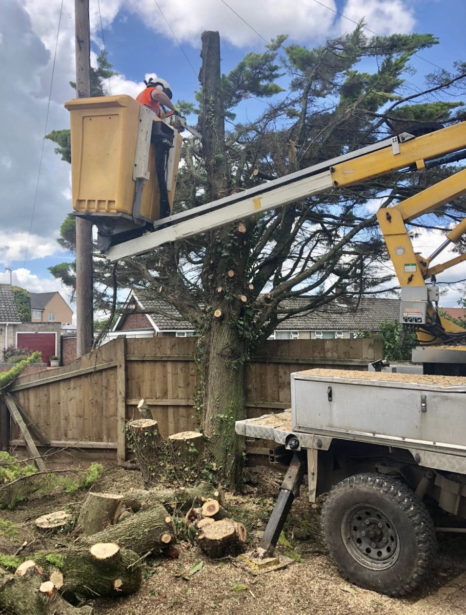 34423B9A-F93A-4EA5-9F3F-3F8F48F5E02A_1_201_a