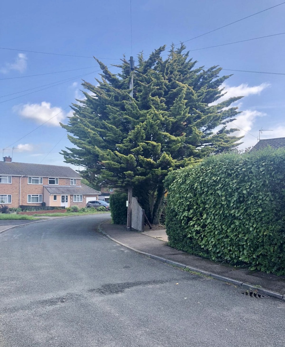 6C29FE86-A23B-4F7E-9E78-230C9903D7C4_1_201_a